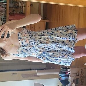 Express fit & flare dress